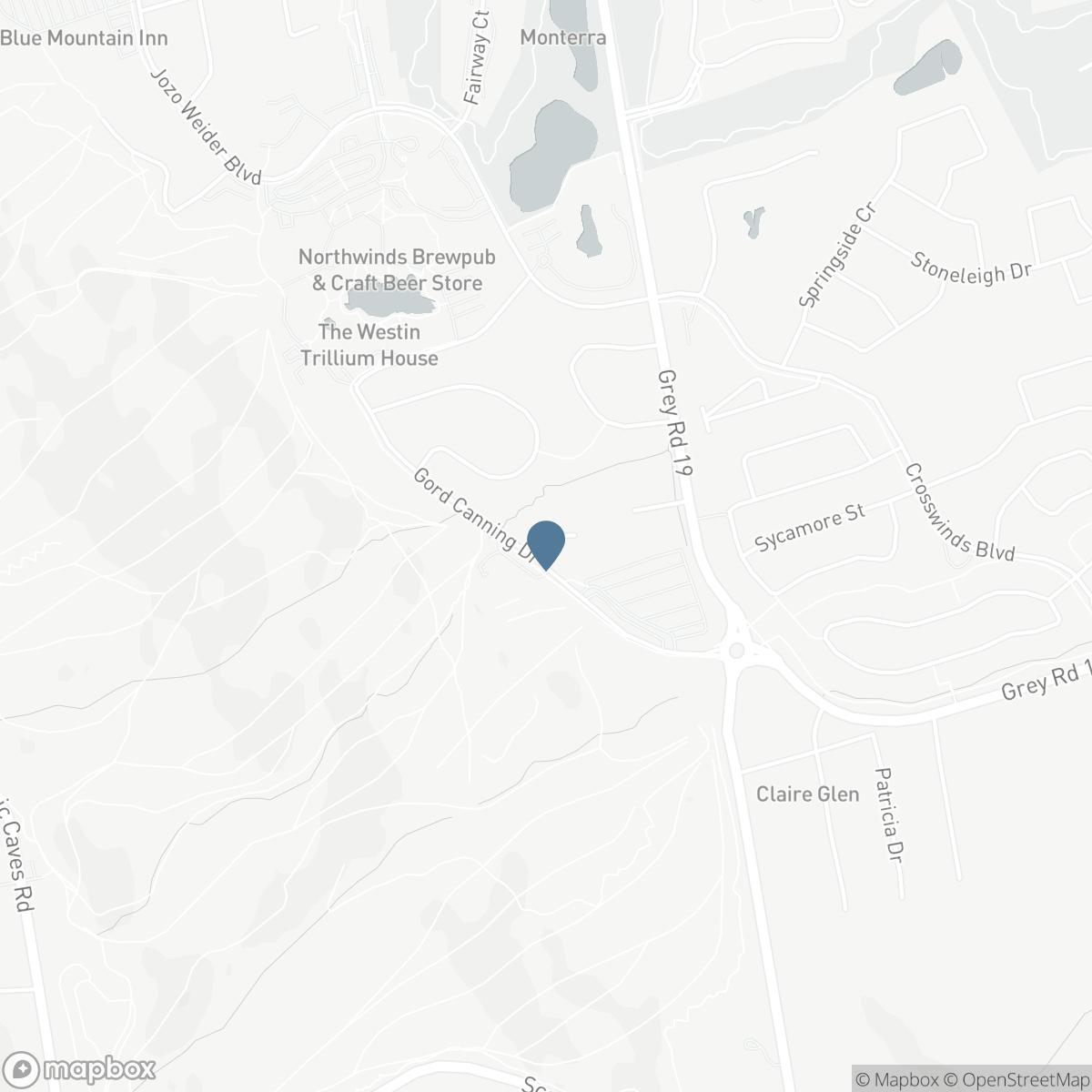 106 PLATER STREET, The Blue Mountains, Ontario L9Y 0R5